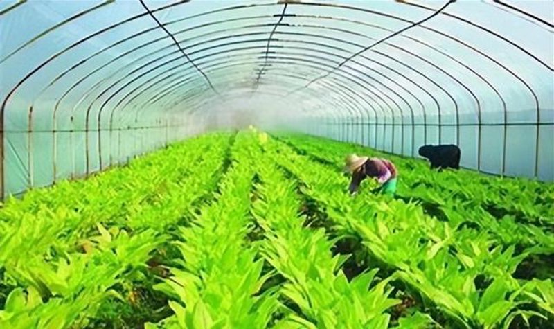 在当前的市场环境下,许多企业都在寻找新的发展方向以应对市场的变化。对于许昌正好农业有限公司而言,近期农产品和化工板块出现了明显的资金流出情况。这种情况是否意味着公司需要做出调整呢?让我们一起探讨一下。